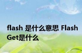 flash 是什么意思 FlashGet是什么