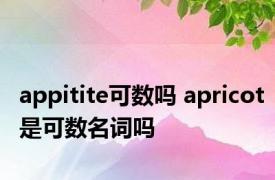 appitite可数吗 apricot是可数名词吗