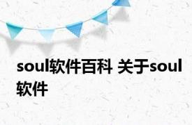 soul软件百科 关于soul软件