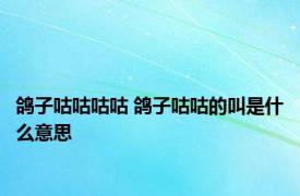 鸽子咕咕咕咕 鸽子咕咕的叫是什么意思