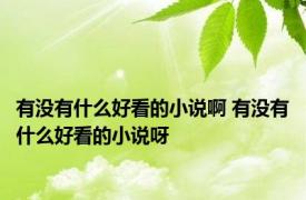 有没有什么好看的小说啊 有没有什么好看的小说呀