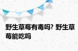 野生草莓有毒吗? 野生草莓能吃吗