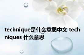 technique是什么意思中文 techniques 什么意思