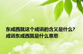 东成西就这个成语的含义是什么? 成语东成西就是什么意思