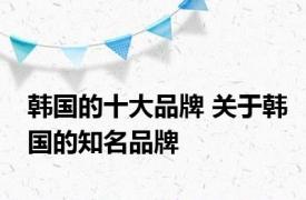 韩国的十大品牌 关于韩国的知名品牌