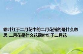 霜叶红于二月花中的二月花指的是什么意思 二月花是什么花霜叶红于二月花