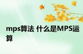 mps算法 什么是MPS运算