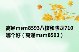 高通msm8593八核和骁龙710哪个好（高通msm8593）