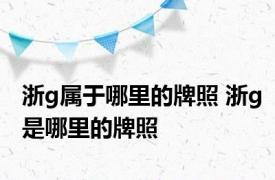 浙g属于哪里的牌照 浙g是哪里的牌照