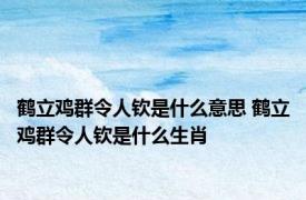 鹤立鸡群令人钦是什么意思 鹤立鸡群令人钦是什么生肖