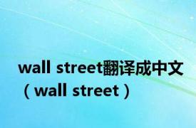 wall street翻译成中文（wall street）