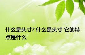 什么是头寸? 什么是头寸 它的特点是什么