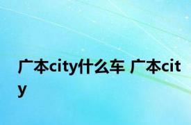 广本city什么车 广本city 