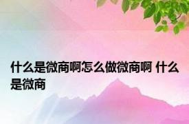 什么是微商啊怎么做微商啊 什么是微商