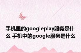 手机里的googleplay服务是什么 手机中的google服务是什么