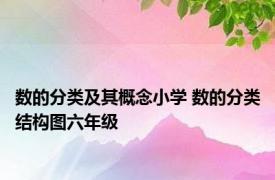 数的分类及其概念小学 数的分类结构图六年级 