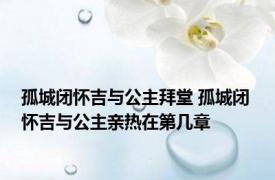 孤城闭怀吉与公主拜堂 孤城闭 怀吉与公主亲热在第几章