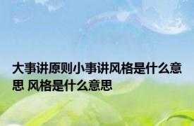 大事讲原则小事讲风格是什么意思 风格是什么意思