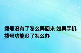 拨号没有了怎么弄回来 如果手机拨号功能没了怎么办