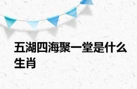 五湖四海聚一堂是什么生肖