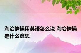 淘治情操用英语怎么说 淘冶情操是什么意思