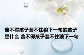 舍不得孩子套不住狼下一句的孩子是什么 舍不得孩子套不住狼下一句