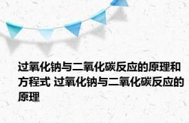 过氧化钠与二氧化碳反应的原理和方程式 过氧化钠与二氧化碳反应的原理