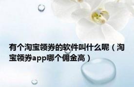 有个淘宝领券的软件叫什么呢（淘宝领券app哪个佣金高）