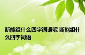 断能组什么四字词语呢 断能组什么四字词语