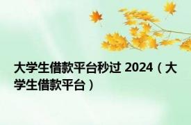 大学生借款平台秒过 2024（大学生借款平台）