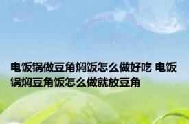 电饭锅做豆角焖饭怎么做好吃 电饭锅焖豆角饭怎么做就放豆角