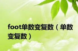 foot单数变复数（单数变复数）