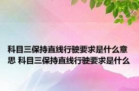 科目三保持直线行驶要求是什么意思 科目三保持直线行驶要求是什么