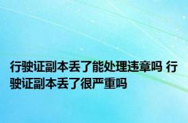 行驶证副本丢了能处理违章吗 行驶证副本丢了很严重吗