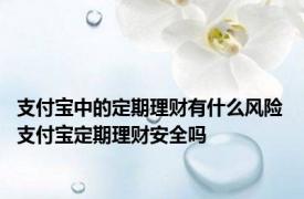 支付宝中的定期理财有什么风险 支付宝定期理财安全吗