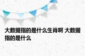 大数据指的是什么生肖啊 大数据指的是什么