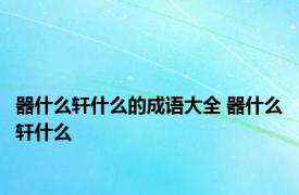 器什么轩什么的成语大全 器什么轩什么