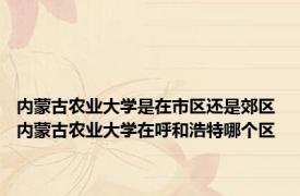 内蒙古农业大学是在市区还是郊区 内蒙古农业大学在呼和浩特哪个区