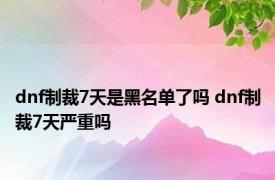 dnf制裁7天是黑名单了吗 dnf制裁7天严重吗