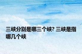 三峡分别是哪三个峡? 三峡是指哪几个峡