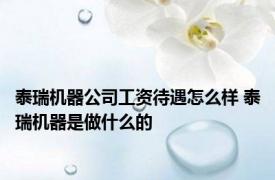 泰瑞机器公司工资待遇怎么样 泰瑞机器是做什么的