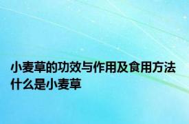 小麦草的功效与作用及食用方法 什么是小麦草