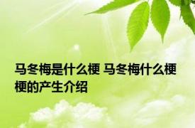 马冬梅是什么梗 马冬梅什么梗 梗的产生介绍