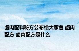 卤肉配料秘方公布给大家着 卤肉配方 卤肉配方是什么