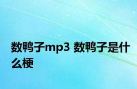 数鸭子mp3 数鸭子是什么梗