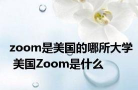 zoom是美国的哪所大学 美国Zoom是什么