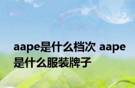 aape是什么档次 aape是什么服装牌子