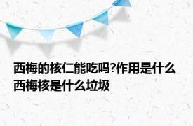 西梅的核仁能吃吗?作用是什么 西梅核是什么垃圾