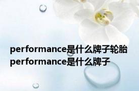 performance是什么牌子轮胎 performance是什么牌子