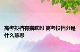 高考投档有猫腻吗 高考投档分是什么意思